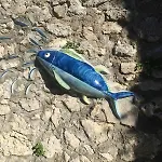 Il Profumo Del Mare プライアーノ