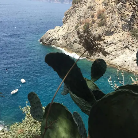 Il Profumo Del Mare * פראינו